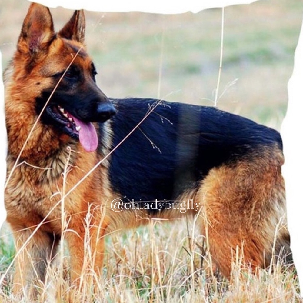 Shepard Dog Pillowcase
